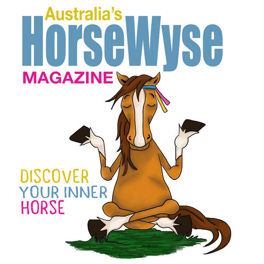 Welcome to the new HorseWyse website!
