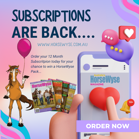 🎉 Subscriptions are Back! 🎉
